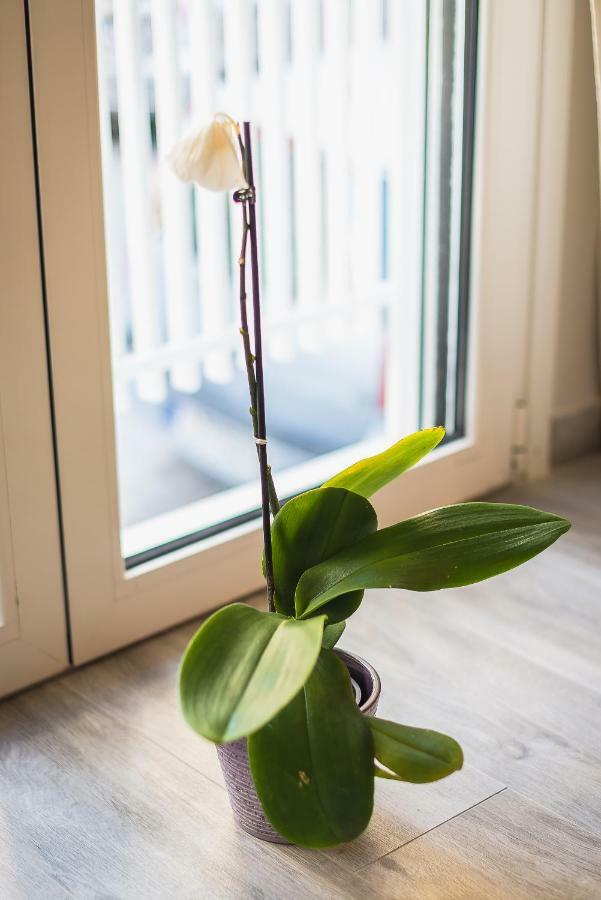 "Sunbow Earth"- Boutique New Apt In Dowtown 아테네 외부 사진